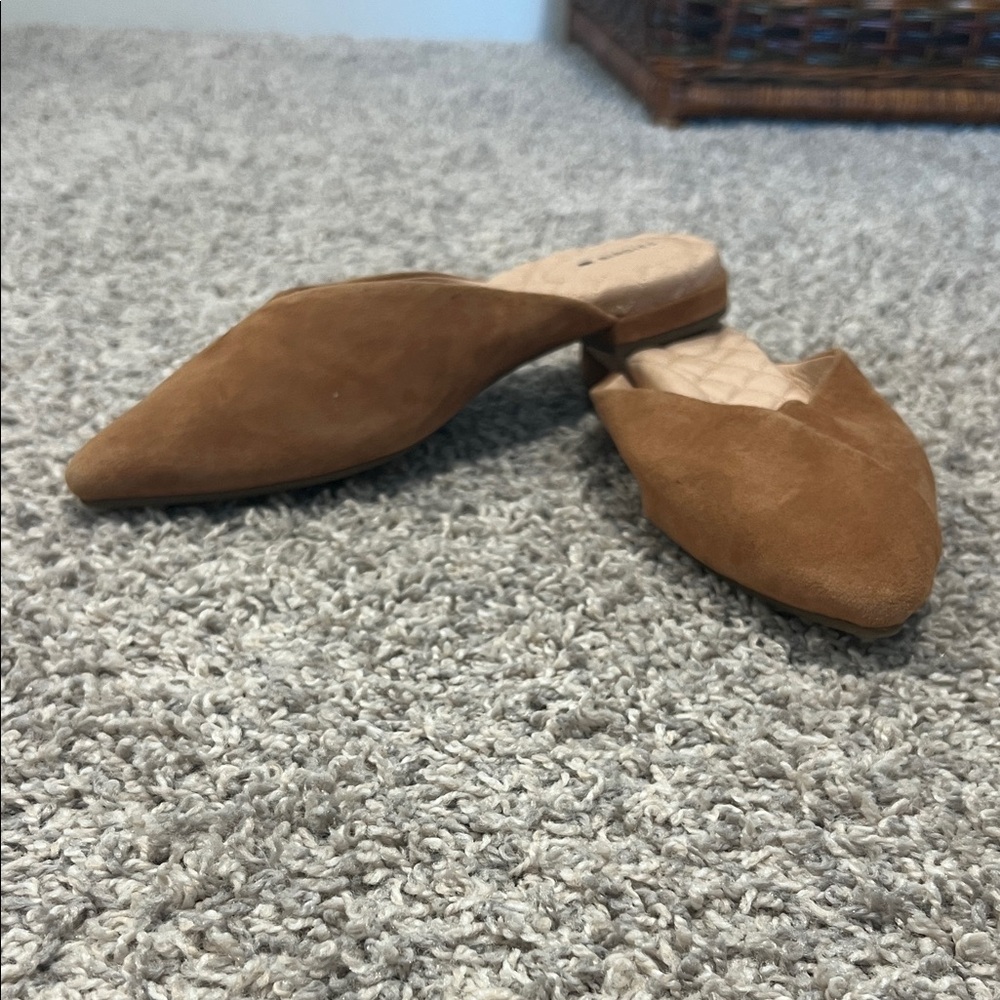 Birdies The Swan Mules in Golden Oak Suede
